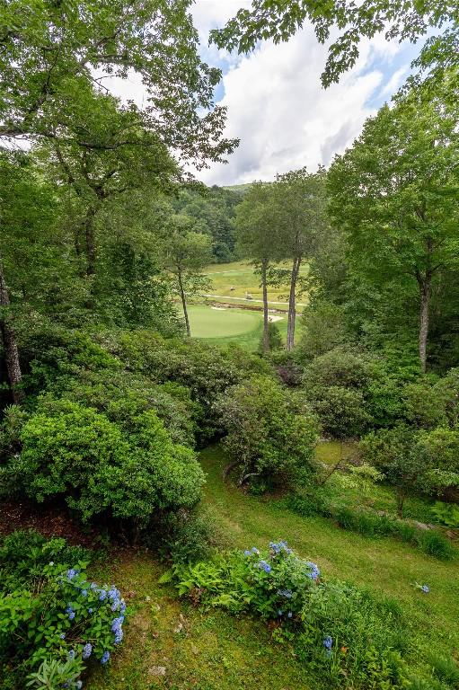 614 Fairway Dr, Lake Toxaway, NC 28747 - view of yard