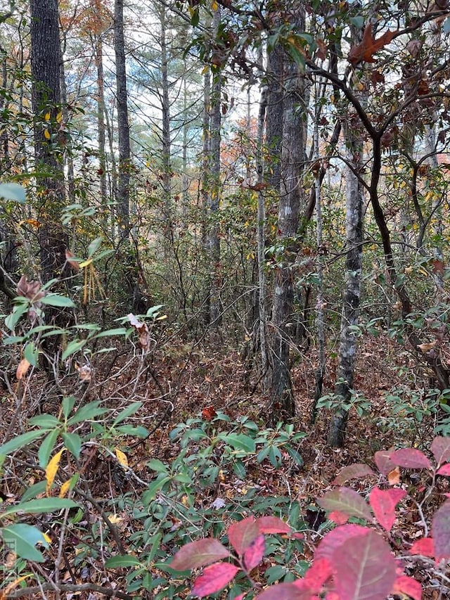 Listing photo 2 for LOT71 Big Pine Rd, Sapphire NC 28774