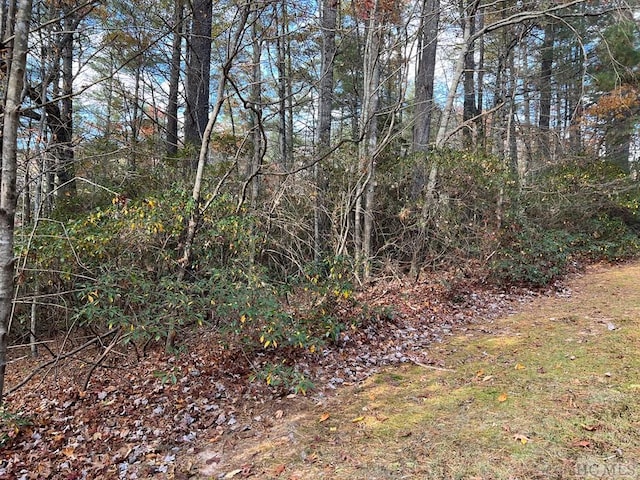 Listing photo 3 for LOT71 Big Pine Rd, Sapphire NC 28774