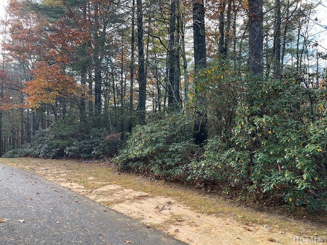 LOT71 Big Pine Rd, Sapphire NC, 28774 land for sale