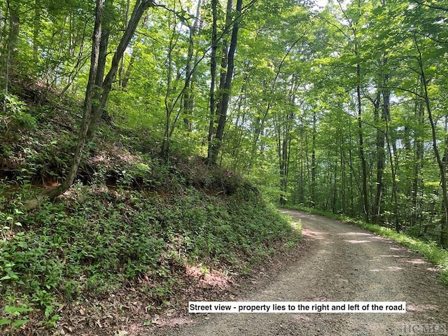 Listing photo 2 for LOT3 Black Gap Rd, Franklin NC 28734