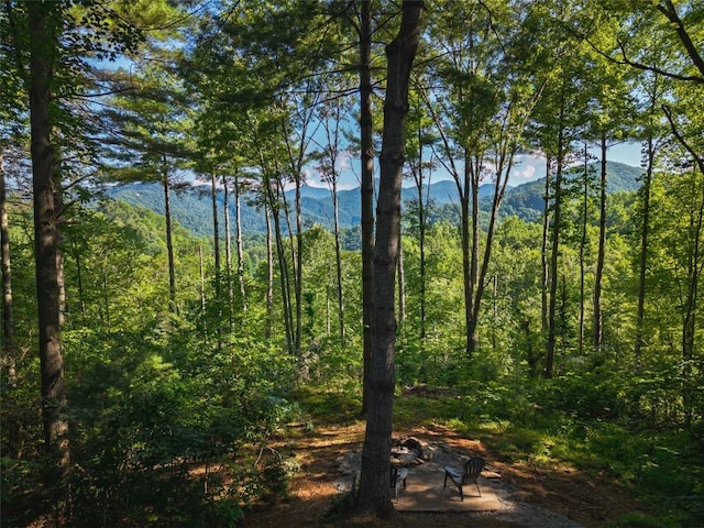 765 Nicholson Cove Rd, Cullowhee, NC 28723 - photo 15