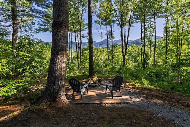765 Nicholson Cove Rd, Cullowhee, NC 28723 - photo 1