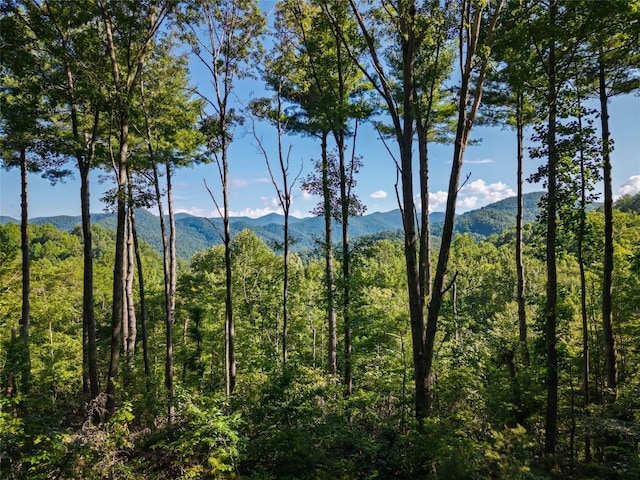 765 Nicholson Cove Rd, Cullowhee, NC 28723 - photo 14