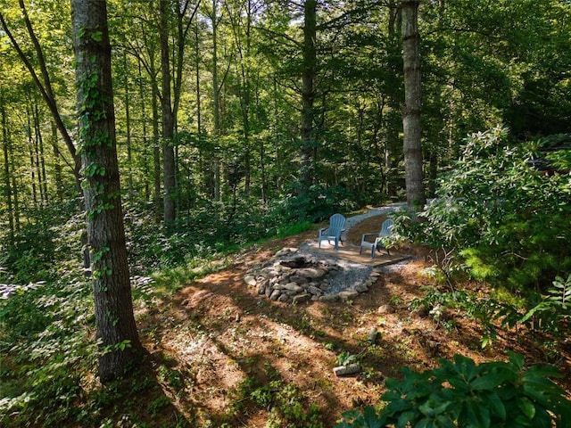 765 Nicholson Cove Rd, Cullowhee, NC 28723 - photo 16