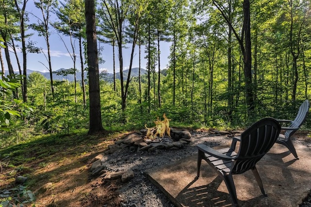 765 Nicholson Cove Rd, Cullowhee, NC 28723 - photo 13