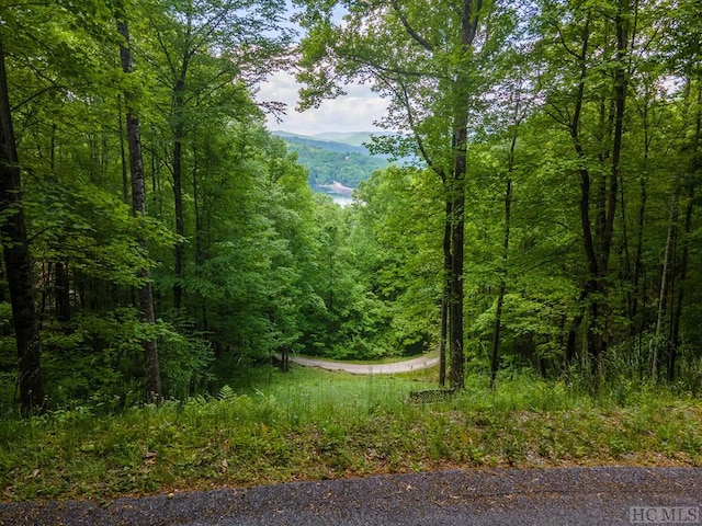 Lt10 Von Trapp, Tuckasegee NC, 28783 land for sale