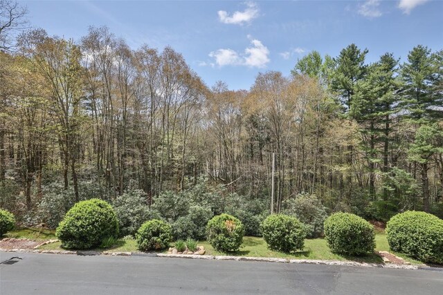 145 Hawks Nest Ln Unit B, Highlands, NC 28741 - photo 6