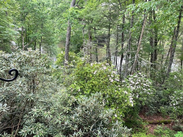 704 Highlands Mountain Club Rd Unit 704, Highlands, NC 28741 - view of woods