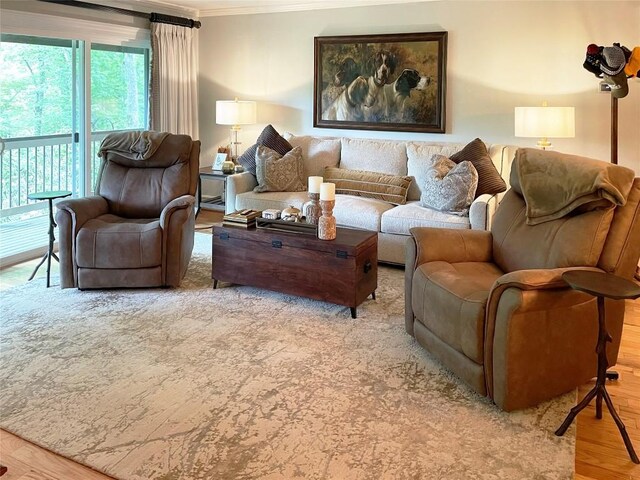 704 Highlands Mountain Club Rd Unit 704, Highlands, NC 28741 - living area featuring ornamental molding and wood finished floors