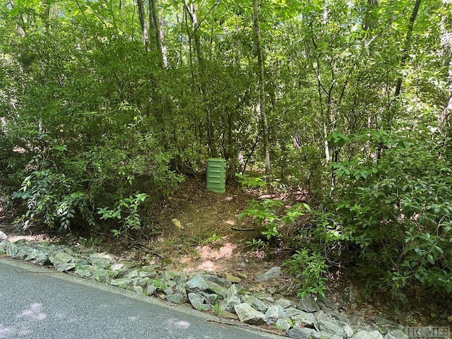 LOT69 Black Oak Dr, Sapphire NC, 28774 land for sale