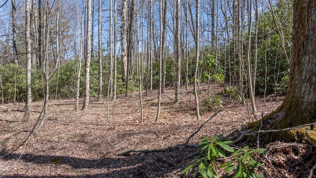 23 Shelby Dr, Highlands, NC 28741