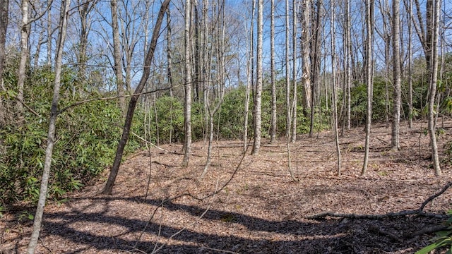 23 Shelby Dr, Highlands, NC 28741
