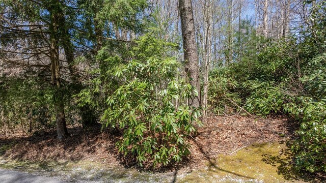 23 Shelby Dr, Highlands, NC 28741