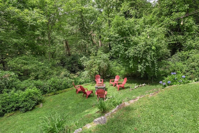 315 Rolling Acres Dr, Highlands, NC 28741 - photo 10