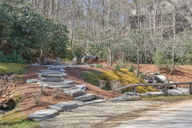 25 Hemlock Rdg, Highlands, NC 28741 - view of yard