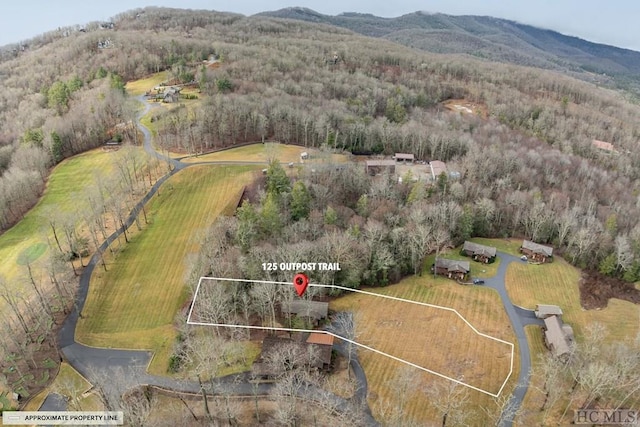 birds eye view of property featuring a mountain view