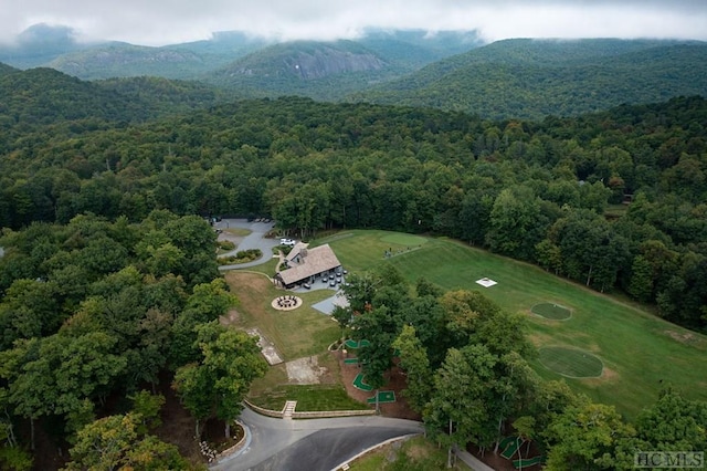 drone / aerial view with a mountain view