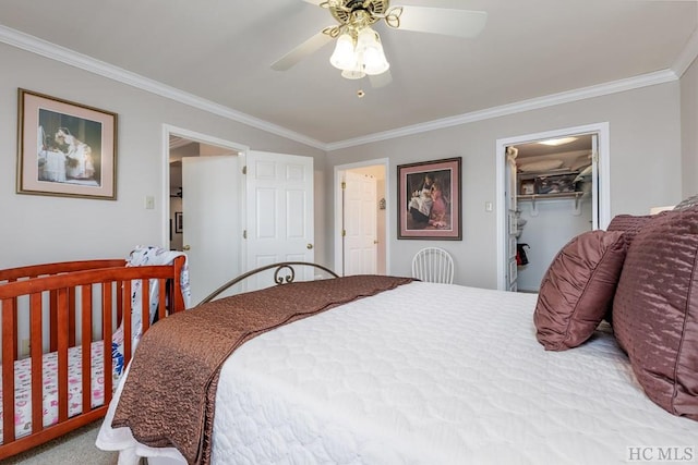 bedroom featuring ceiling fan, ornamental molding, light carpet, a spacious closet, and a closet