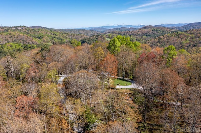 birds eye view of property with a mountain view