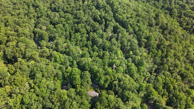 86 Beech Ct, Sapphire, NC 28774 - aerial view of property and surrounding area with a heavily wooded area