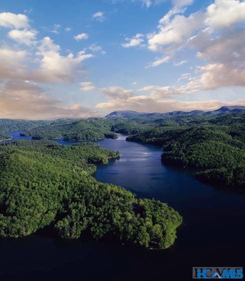 birds eye view of property featuring a forest view and a water and mountain view