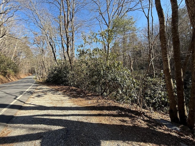 0 N Norton Rd, Cashiers NC, 28717 land for sale