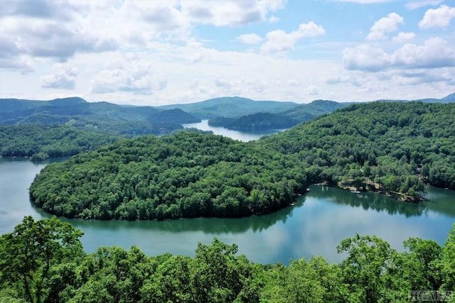 752 Shepherds Gap Rd, Cullowhee NC, 28723 land for sale