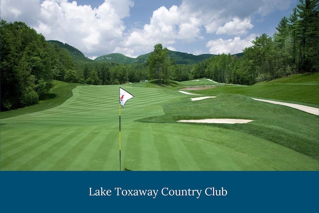 view of community with a forest view, a mountain view, and golf course view