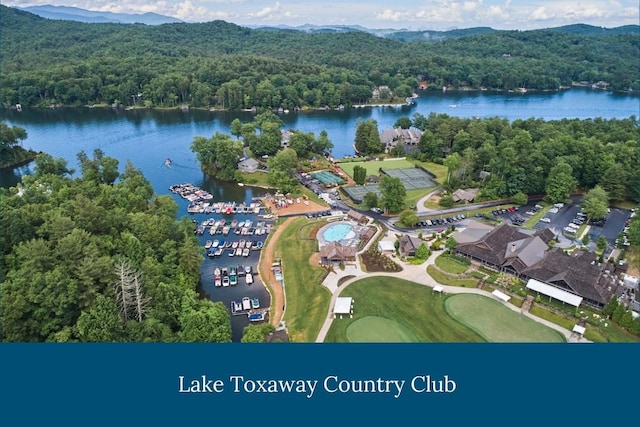 birds eye view of property featuring a water and mountain view and a forest view