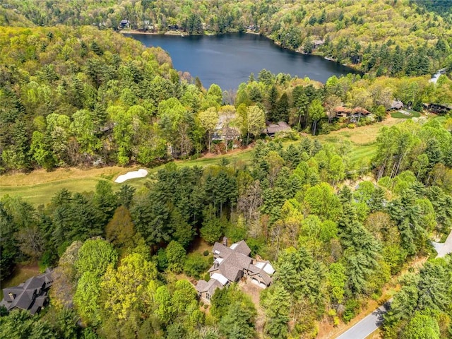aerial view with a view of trees and a water view