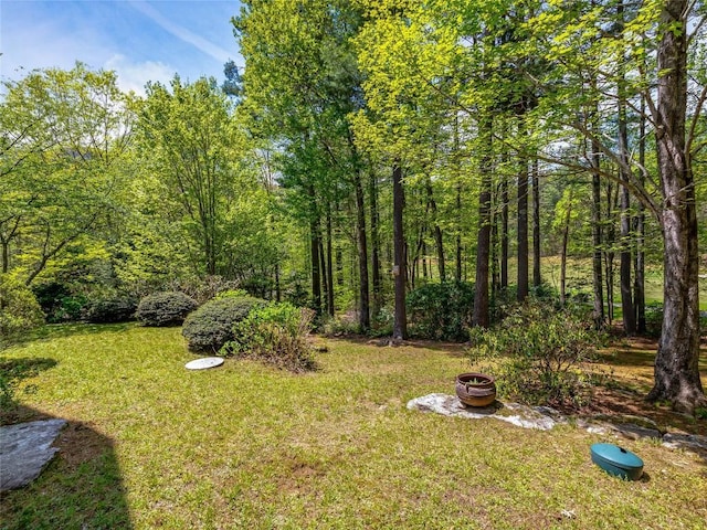 view of yard with a fire pit