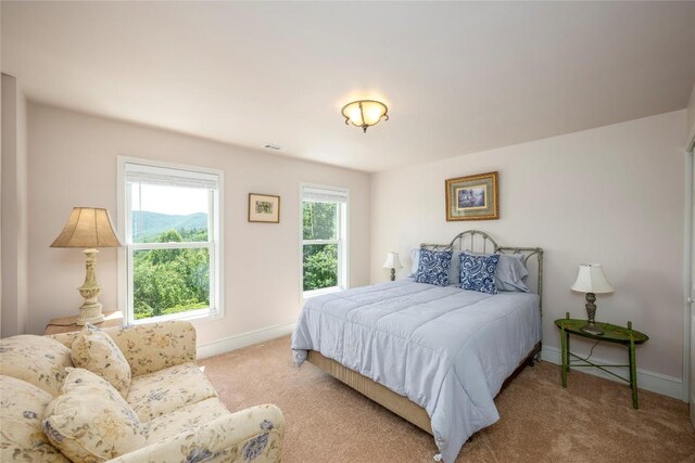 298 Carpenter Rd, Otto, NC 28763 - photo 84