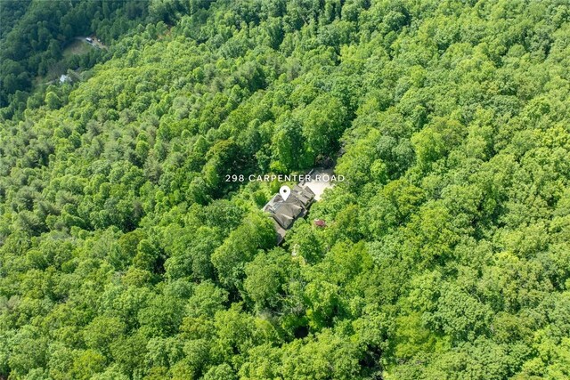 298 Carpenter Rd, Otto, NC 28763 - photo 97