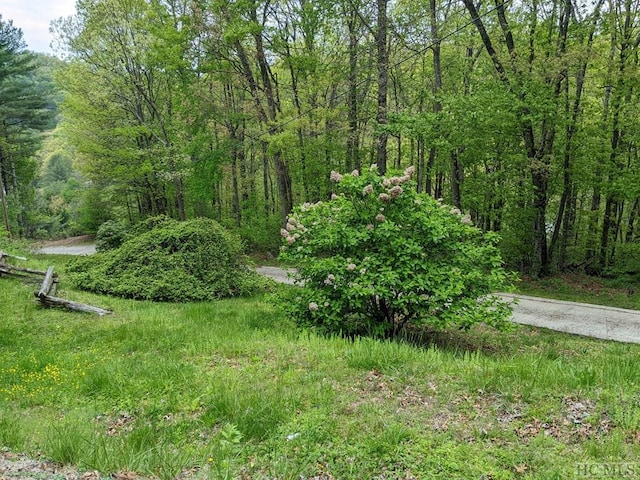 view of local wilderness