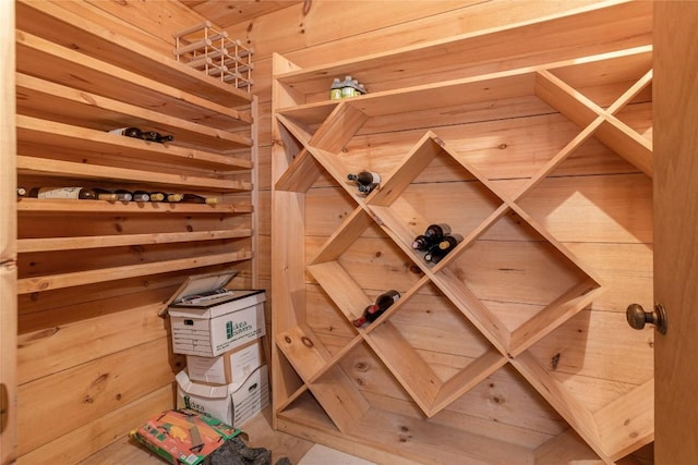 wine cellar featuring wood walls