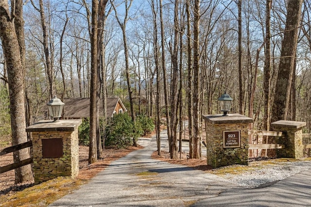 view of road with aphalt driveway