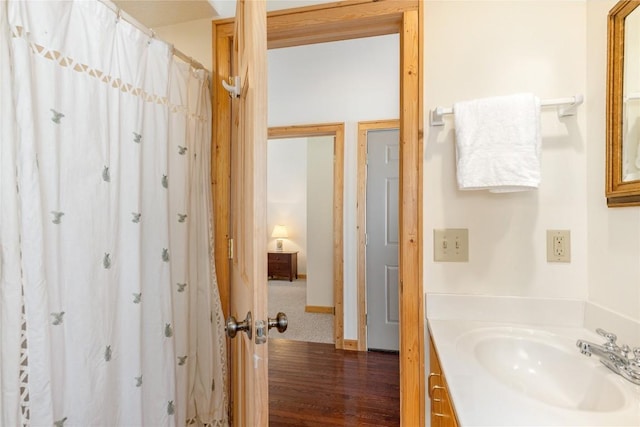 bathroom featuring wood finished floors and vanity