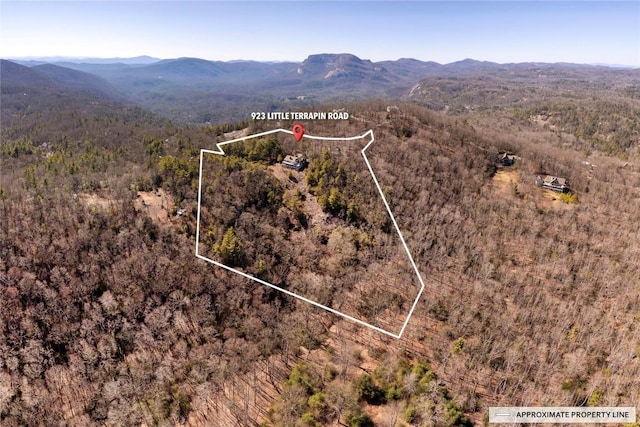 aerial view with a forest view and a mountain view