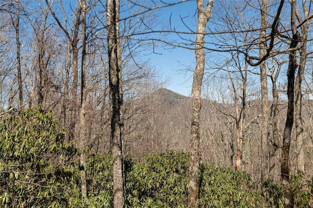 view of mountain feature featuring a view of trees