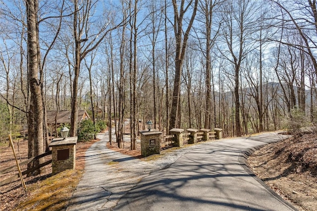 view of road with a view of trees