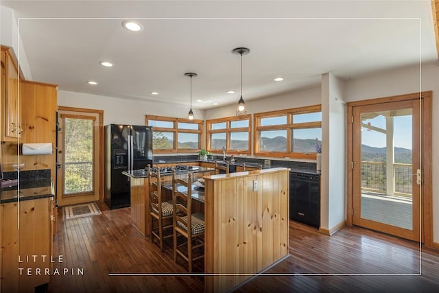 kitchen featuring black appliances, dark wood-style floors, and a wealth of natural light