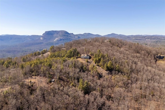 mountain view with a forest view