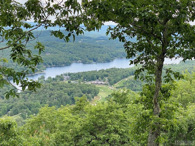 property view of water