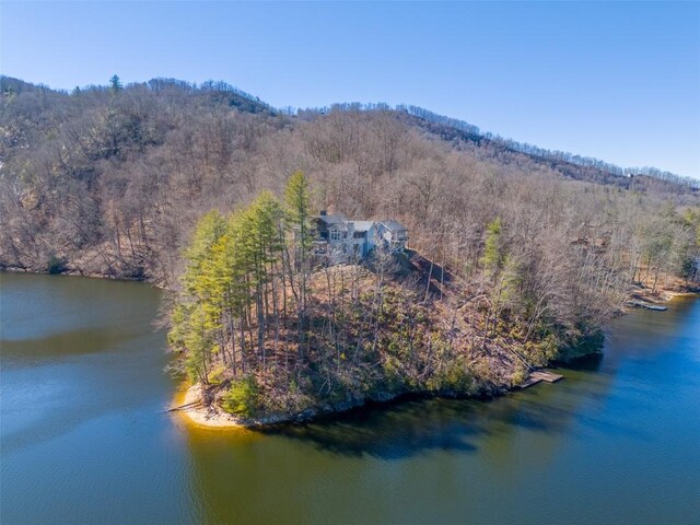 1132 Southshore Dr, Tuckasegee, NC 28783 - drone / aerial view with a water view and a view of trees