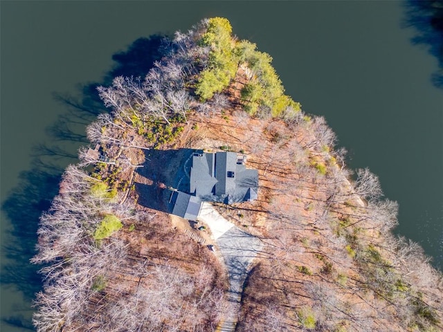 1132 Southshore Dr, Tuckasegee, NC 28783 - birds eye view of property