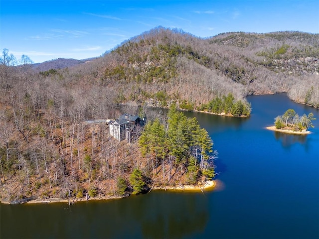 1132 Southshore Dr, Tuckasegee, NC 28783 - drone / aerial view with a view of trees and a water and mountain view