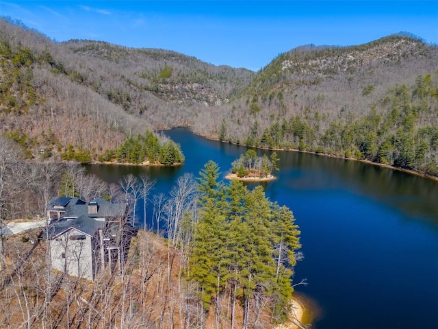 1132 Southshore Dr, Tuckasegee, NC 28783 - drone / aerial view featuring a forest view and a water and mountain view