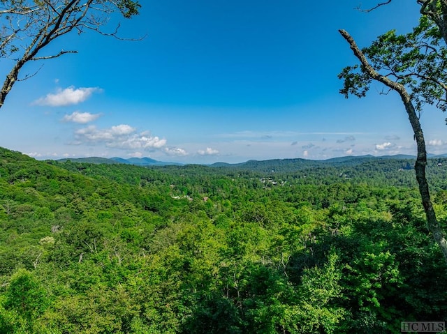 property view of mountains