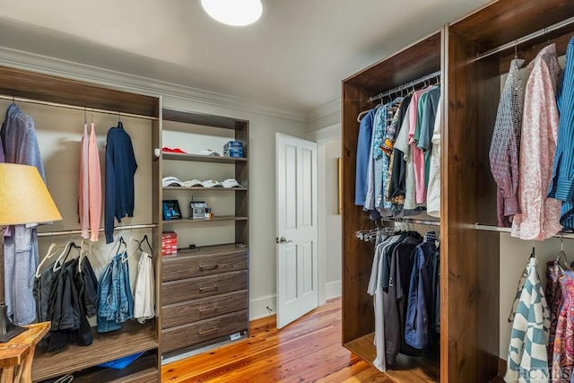 walk in closet with light wood-type flooring